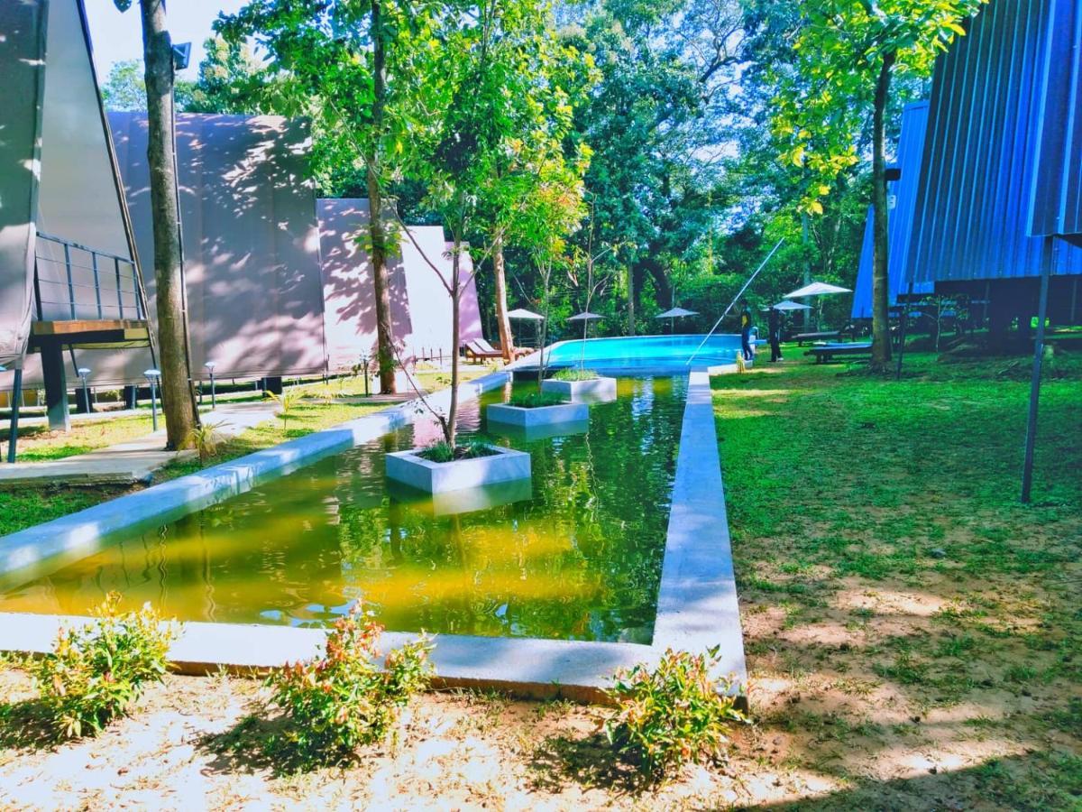 Kottawatta River Bank Resort Udawalawe Exterior foto